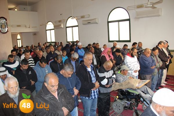 jarhoshuy msajed 0110 (7).JPG